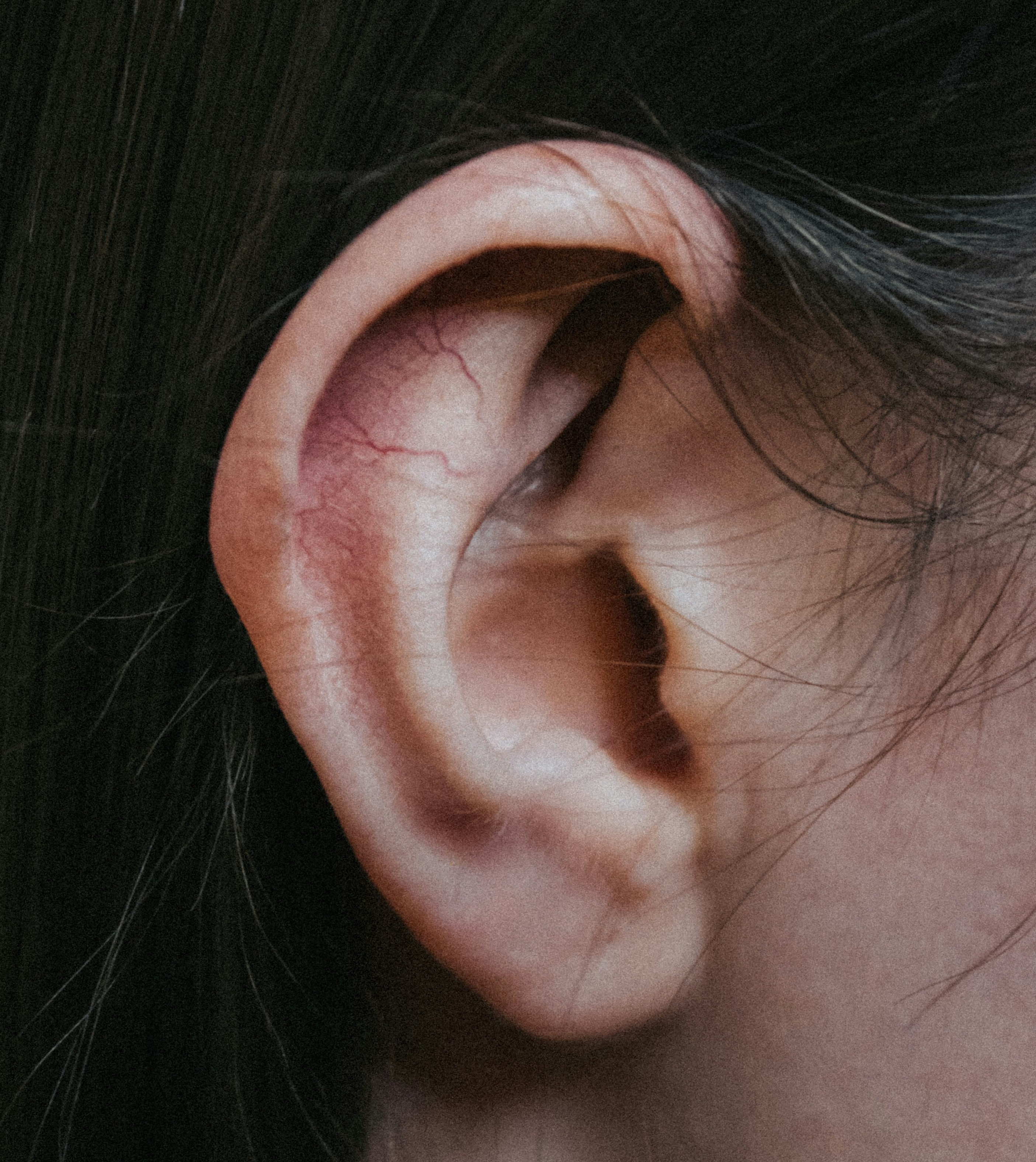 Human ear