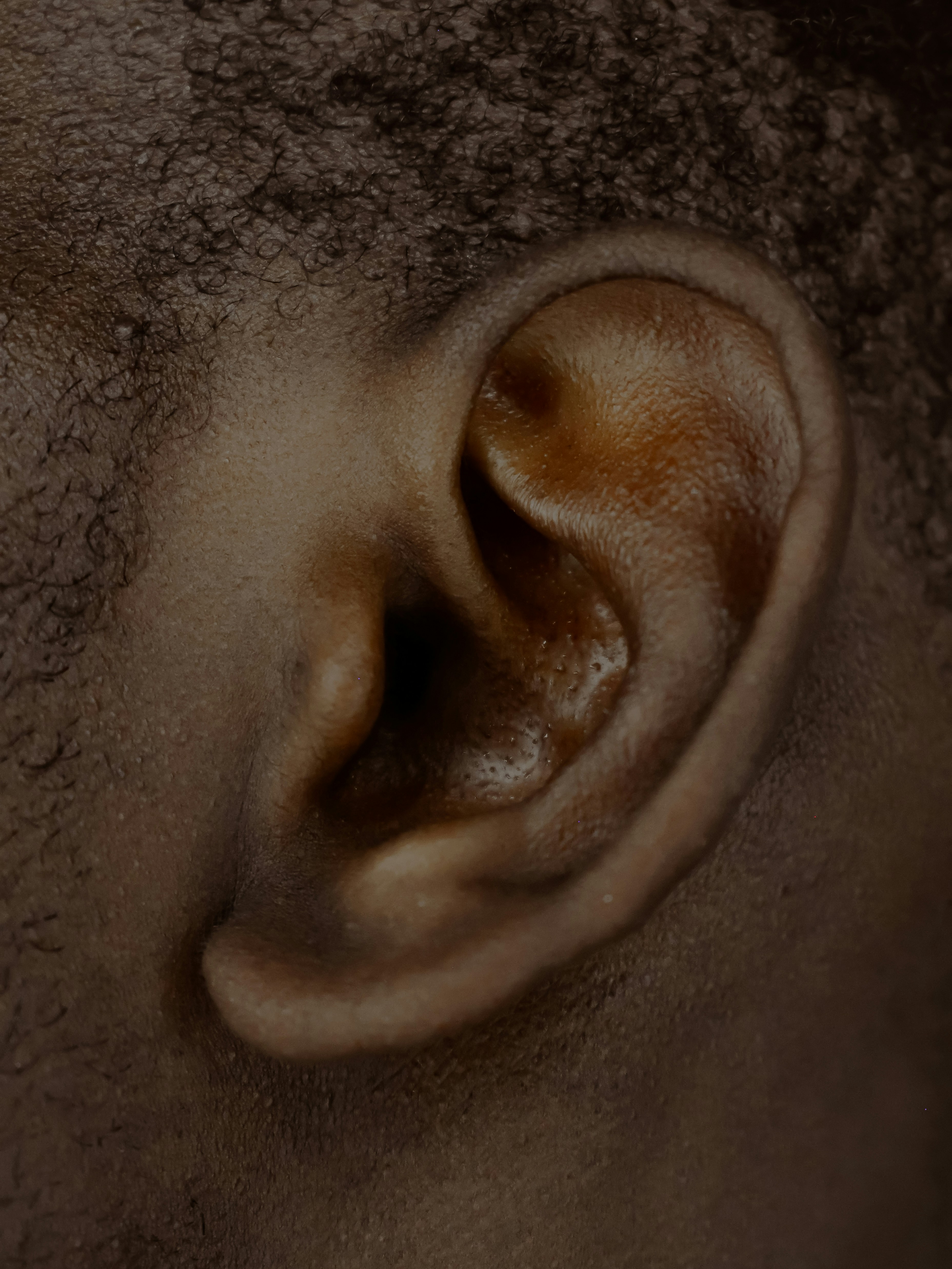 Human ear